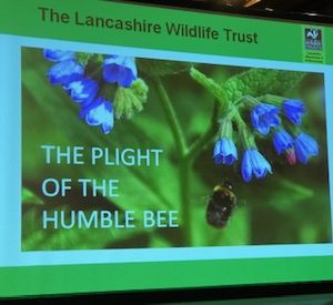 Lancashire Wildlife Trust