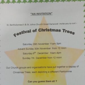 Festival of Christmas Trees