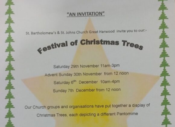 Festival of Christmas Trees